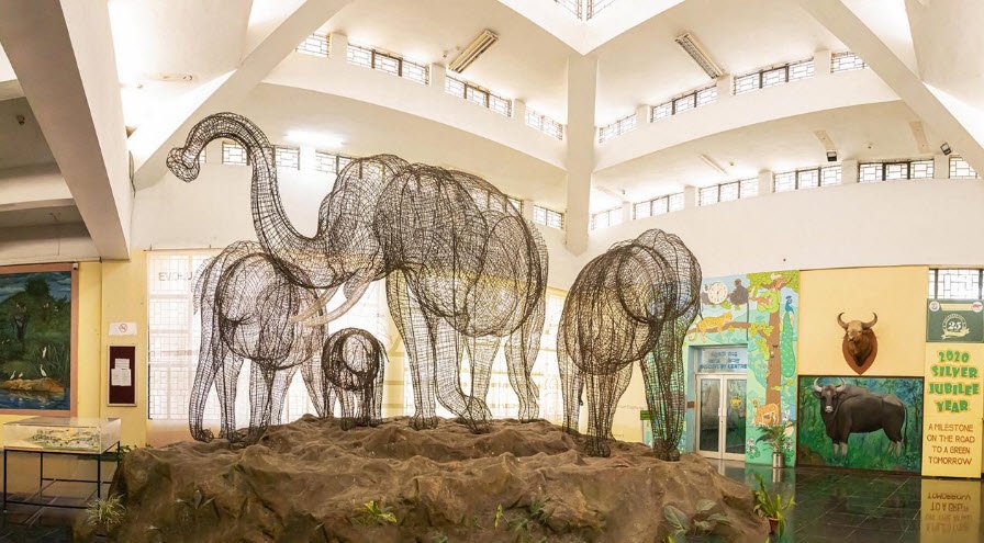 Regional Museum of Natural History Mysuru, India